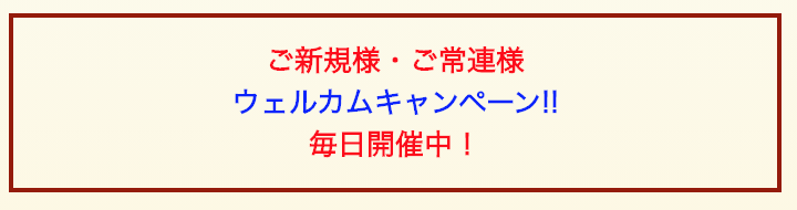 ヤングレディーのキャンペーン情報