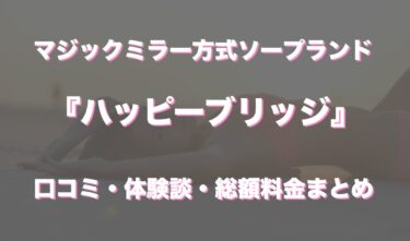 川崎ソープ「ハッピーブリッジ」の口コミ・体験談まとめ｜NN／NS情報も徹底調査！