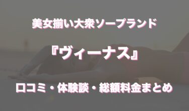 川崎ソープ「ヴィーナス」の口コミ・体験談まとめ｜NN／NS情報も徹底調査！