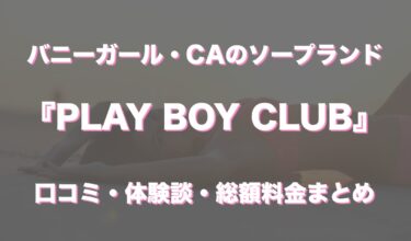 川崎ソープ「PLAYBOY CLUB(プレイボーイクラブ)」の口コミ・体験談まとめ｜NN／NS情報も徹底調査！