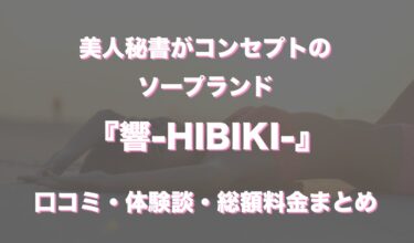 川崎ソープ「響-HIBIKI-」の口コミ・体験談まとめ｜NN／NS情報も徹底調査！