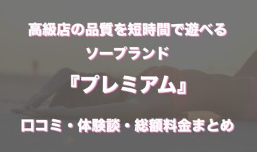 川崎ソープ「プレミアム」の口コミ・体験談まとめ｜NN／NS情報も徹底調査！