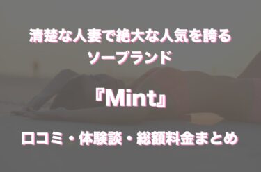 川崎ソープ「Mint」の口コミ・体験談まとめ｜NN／NS情報も徹底調査！