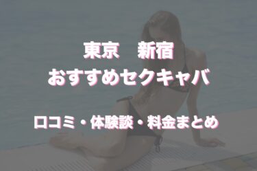 新宿のおすすめセクキャバ（おっパブ）11店舗をレビュー！口コミや体験談も徹底調査！