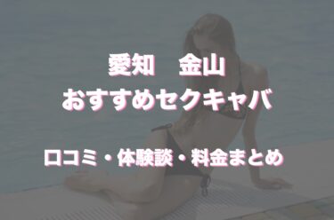 金山のおすすめセクキャバ（おっパブ）３店舗をレビュー！口コミや体験談も徹底調査！