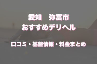 弥富市のデリヘルおすすめ人気5店舗！口コミや評判から基盤、円盤情報を徹底調査！