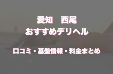 西尾のデリヘルおすすめ人気5店舗！口コミや評判から最新情報を徹底調査！