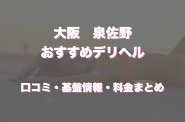 泉佐野のデリヘルおすすめ人気5店舗！口コミや評判から最新情報を徹底調査！