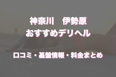 伊勢原のデリヘルおすすめ人気5店舗！口コミや評判から基盤、円盤情報を徹底調査！