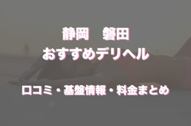 磐田のデリヘルおすすめ人気5店舗！口コミや評判から基盤、円盤情報を徹底調査！