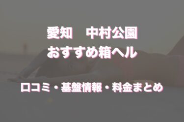 中村公園の店舗型ヘルス(箱ヘル)おすすめ3店舗！口コミや評判から周辺の店舗もチェック！