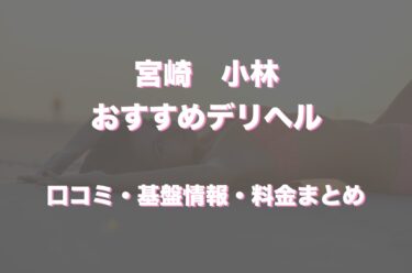 小林のデリヘルおすすめ人気5店舗！口コミや評判から基盤、円盤情報を徹底調査！