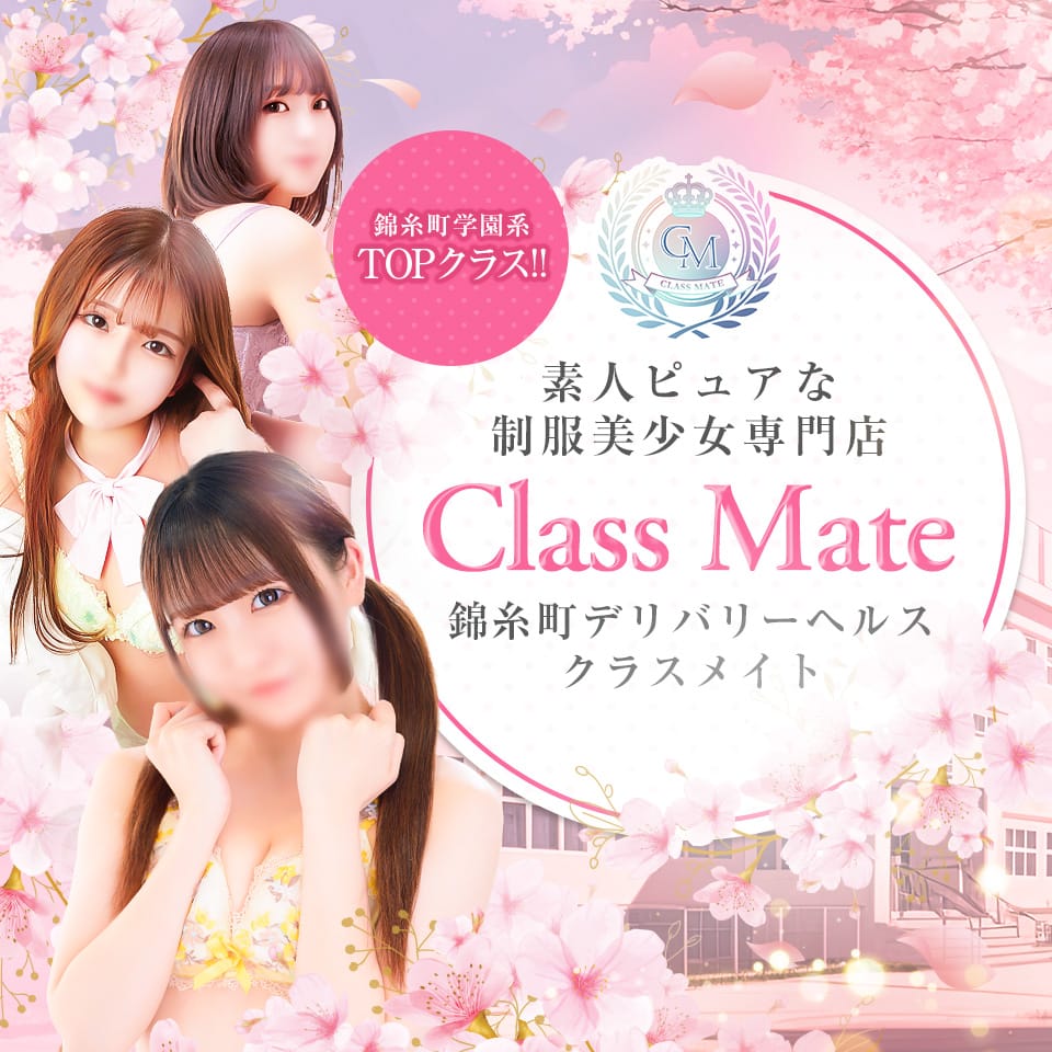 美少女制服学園 CLASSMATEのソース画像