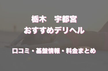 宇都宮市のデリヘルおすすめ人気5店舗！口コミや評判から最新情報を徹底調査！