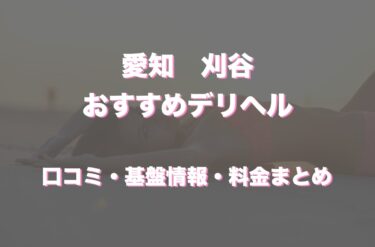 刈谷のデリヘルおすすめ人気5店舗！口コミや評判から基盤、円盤情報を徹底調査！