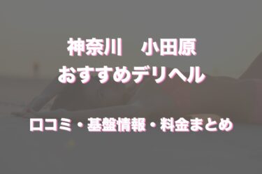 小田原のデリヘルおすすめ人気5店舗！口コミや評判から基盤、円盤情報を徹底調査！