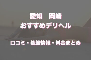 岡崎のデリヘルおすすめ人気5店舗！口コミや評判から基盤、円盤情報を徹底調査！