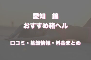 錦の店舗型ヘルス（箱ヘル）おすすめ10店舗！口コミ・評判情報まとめ！