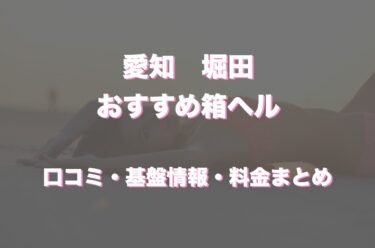 堀田の店舗型ヘルス(箱ヘル)おすすめ8店舗！口コミ・評判情報まとめ！