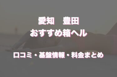 豊田の店舗型ヘルス(箱ヘル)ってどう！？口コミ・評判情報まとめ！