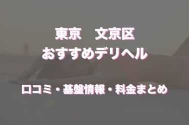 文京区で呼べるおすすめのデリヘル5選！口コミや評判から周辺店舗をチェック！