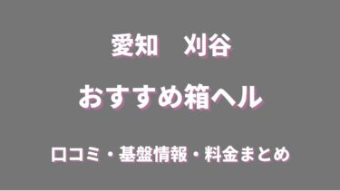 刈谷の店舗型ヘルス(箱ヘル)全6店舗の口コミ情報まとめ！