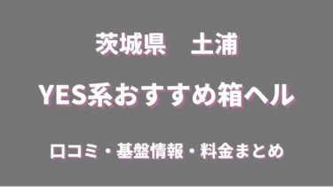 土浦・YESグループ系の店舗型ヘルス(箱ヘル)全4店舗の口コミ情報まとめ！