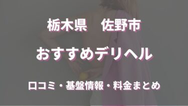 佐野市のデリヘルおすすめ5店舗！口コミや評判から最新情報を徹底調査！