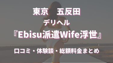 五反田のデリヘル「Ebisu派遣Wife浮世」はどんな店？口コミや評判、体験者の声を徹底調査！