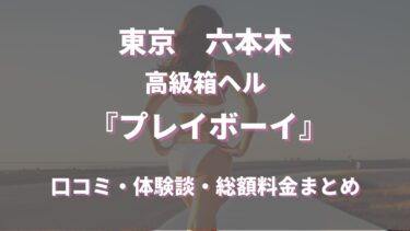 六本木のヘルス「プレイボーイ」ってどんな店？口コミや評判、体験者の声を徹底調査！