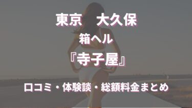 大久保の店舗型ヘルス「寺子屋」ってどんな店？口コミや評判、体験者の声を徹底調査！