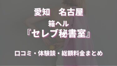 名古屋のヘルス「セレブ秘密室」ってどんな店？口コミや評判、おすすめ嬢も合わせてご紹介！