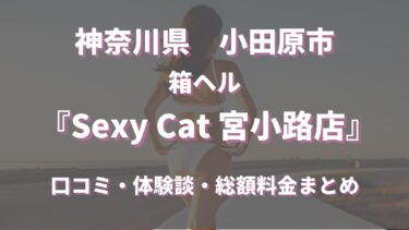 小田原のヘルス「Sexy Cat 宮小路店」ってどんな店？口コミや評判、体験者の声を徹底調査！