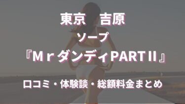 吉原のソープランド「Mr.ダンディPARTⅡ」ってどんな店？口コミや評判、体験者の声を徹底調査！