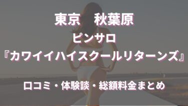 秋葉原ピンサロ「カワイイハイスクールリターンズ」ってどんな店？口コミや評判、体験者の声を徹底調査！