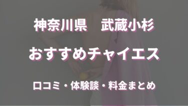 武蔵小杉のチャイエスはどう？口コミや評判から本番、基盤情報まで徹底調査！