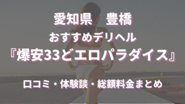 豊橋デリヘル「爆安33どエロパラダイス」ってどんな店？口コミや評判、体験者の声を徹底調査！